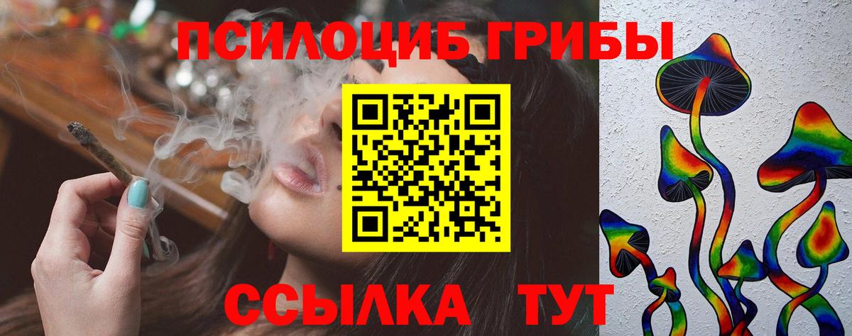 даркнет сайт  Вход с VPN  Новошахтинск  Галлюциногенные грибы Cubensis 