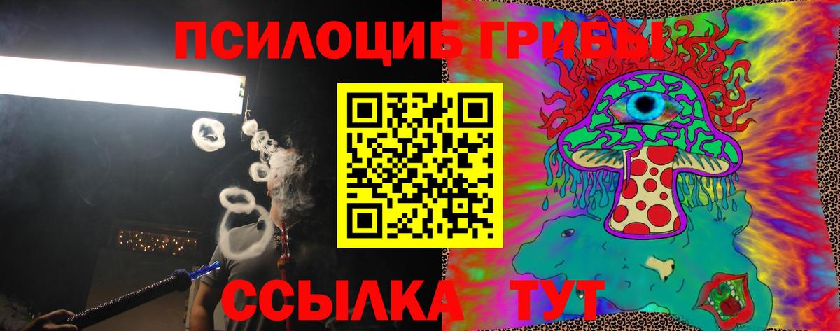 Псилоцибиновые грибы Psilocybine cubensis Новошахтинск